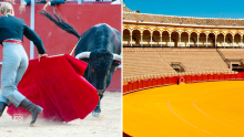 Spanish A2.19.3 The fighting bull: a tradition in Spanish culture