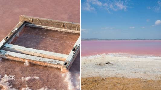 Spanish A2.21.3 The salt flats of Torrevieja